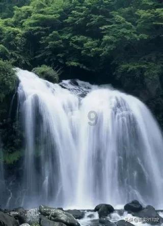 外星小怪大冒险
